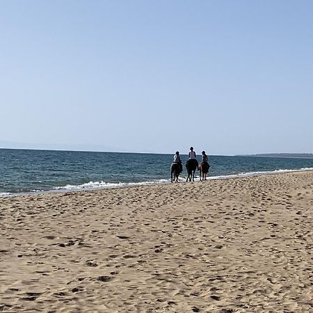 Douneika  White Villas מראה חיצוני תמונה