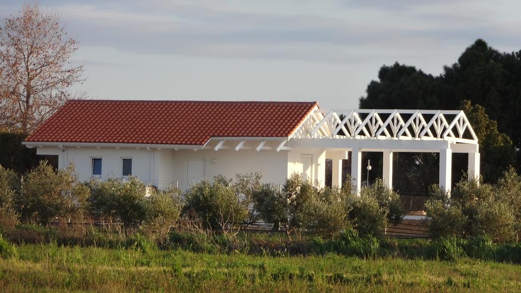 Douneika  White Villas מראה חיצוני תמונה