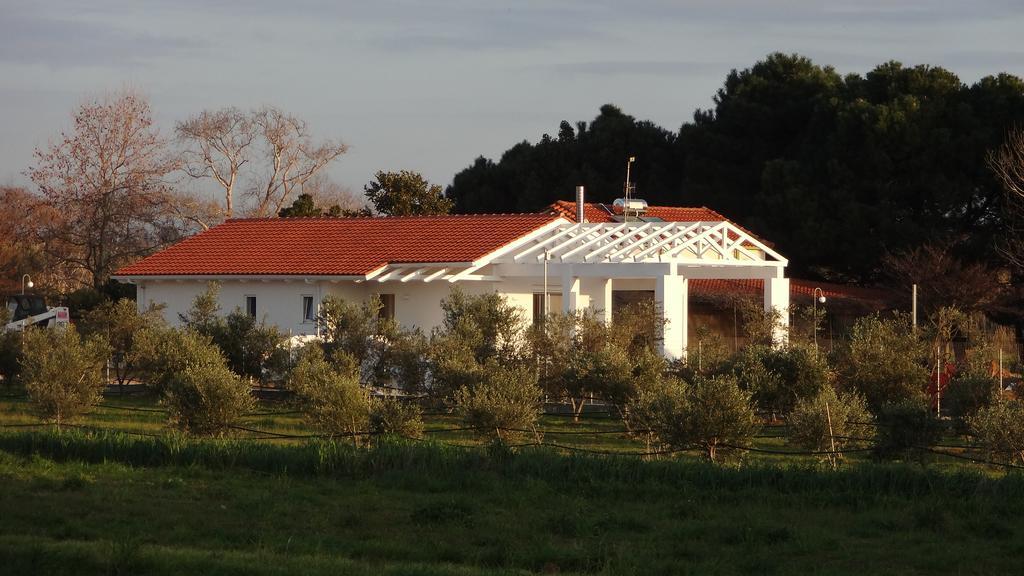 Douneika  White Villas מראה חיצוני תמונה