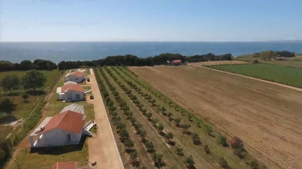 Douneika  White Villas מראה חיצוני תמונה